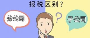 設(shè)立分公司和子公司，哪個更節(jié)稅？看完就明白了！